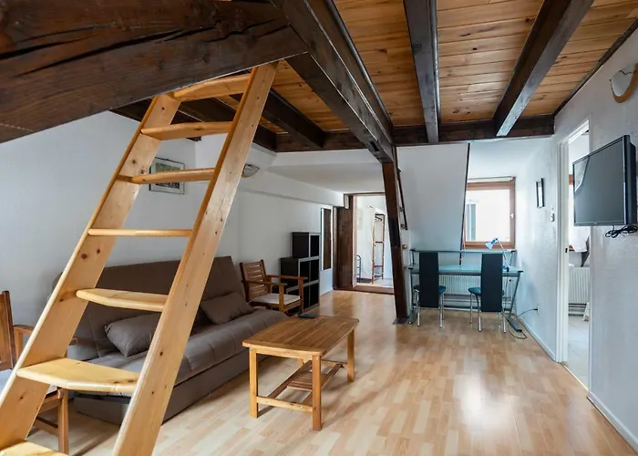 Citycosy Strasbourg - Budget St Thomas Serruriers
